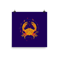 bellfish cancer zodiac poster in realtà aumentata